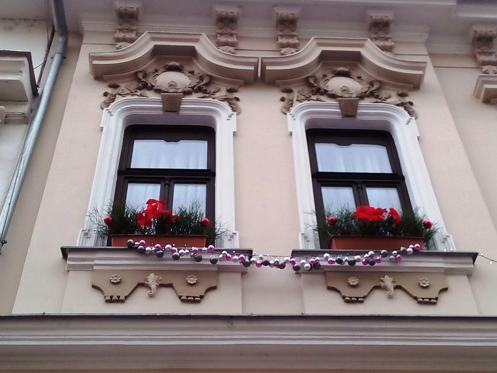 Penzion V Centru - Apartmány Smetanka Ceske Budejovice Exterior foto